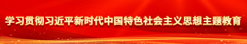 日逼插曲学习贯彻习近平新时代中国特色社会主义思想主题教育